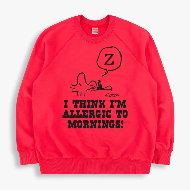 MORNINGS 60s Raglan Sweatshirt made by TSPTR