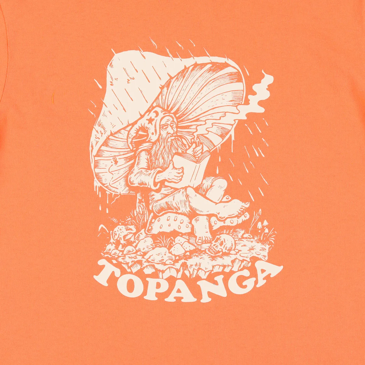 TOPANGA TEE sold by TSPTR product image thumbnail 2