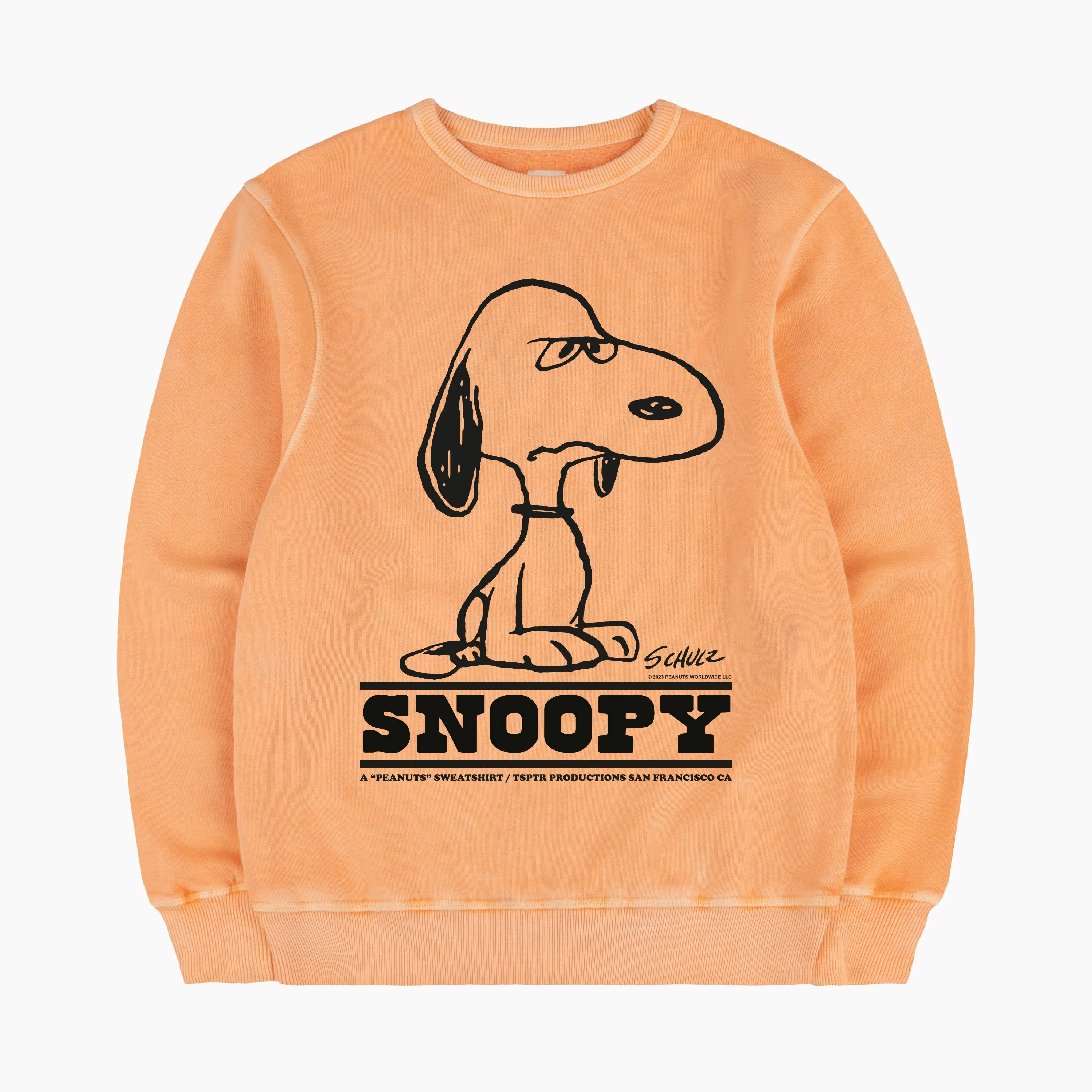 Snoopy Bite Sweatshirt sold by TSPTR