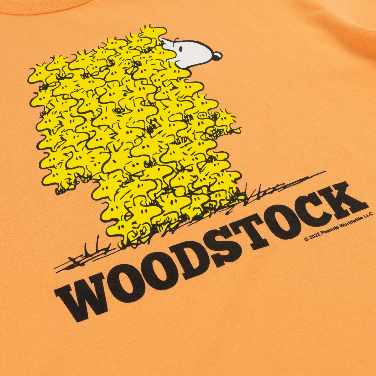 Woodstock Tee sold by TSPTR product image thumbnail 2