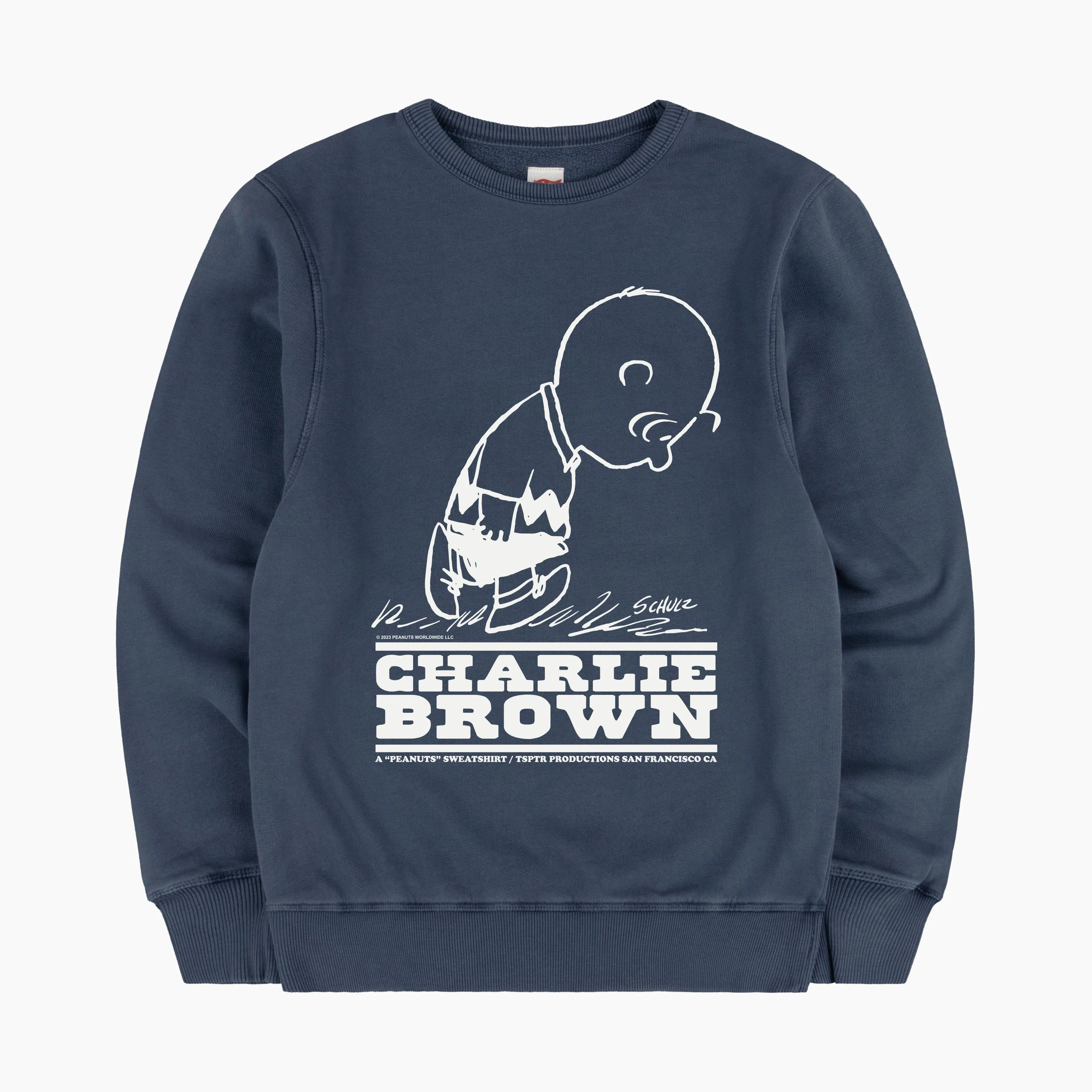 Charlie Brown Sweatshirt sold by TSPTR