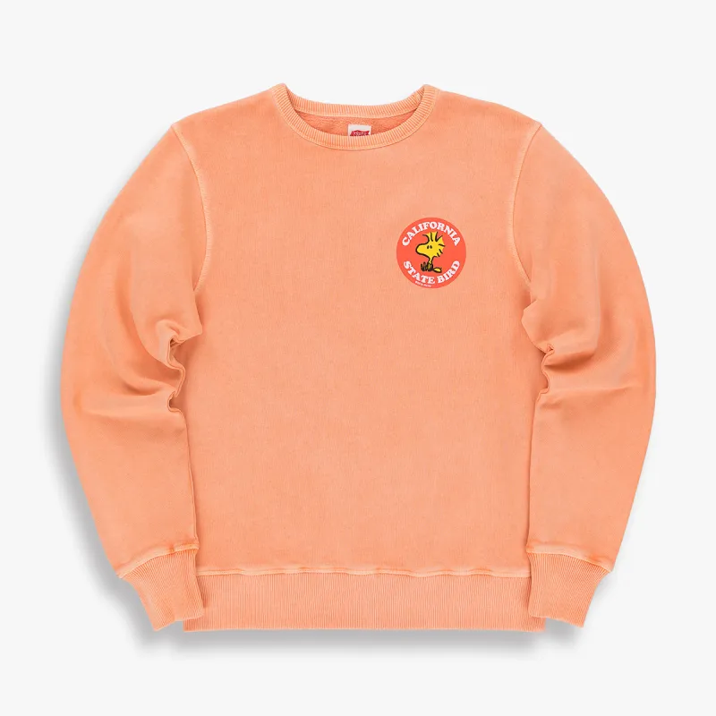 STATEBIRD SWEAT made by TSPTR
