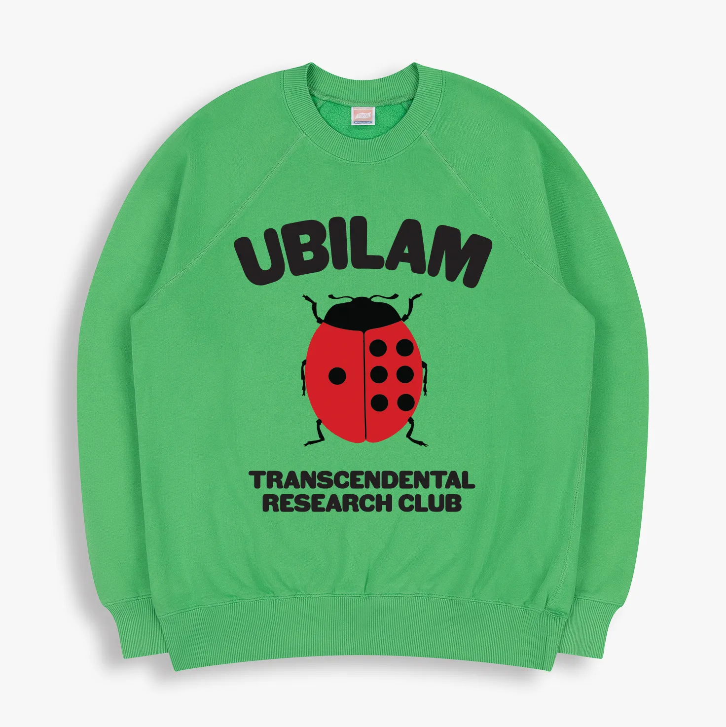 LADYBUG SWEATSHIRT sold by TSPTR