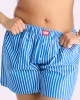Parade Poplin Boxer Short | Parade Poplin (Paradise Stripe) sold by Parade