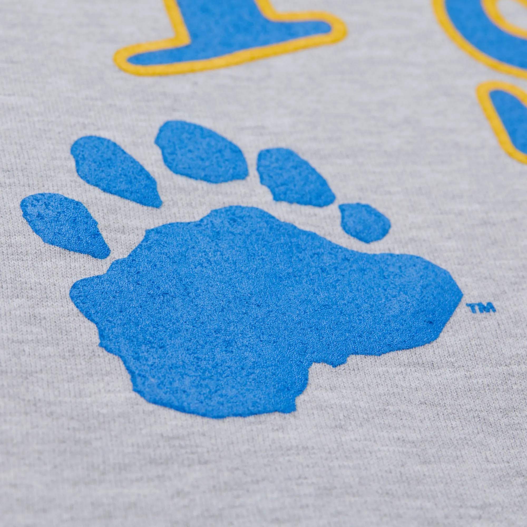 PLAYA SOCIETY X MITCHELL & NESS UCLA CREWNECK sold by Playa Society product image thumbnail 5