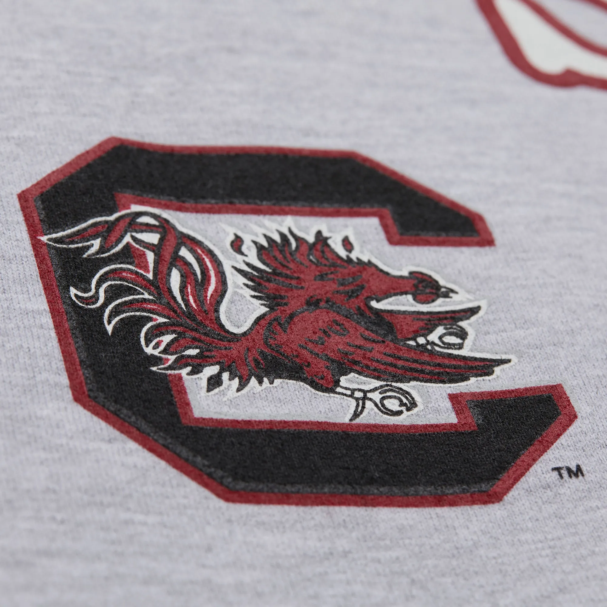 PLAYA SOCIETY X MITCHELL & NESS SOUTH CAROLINA CREWNECK sold by Playa Society product image thumbnail 4