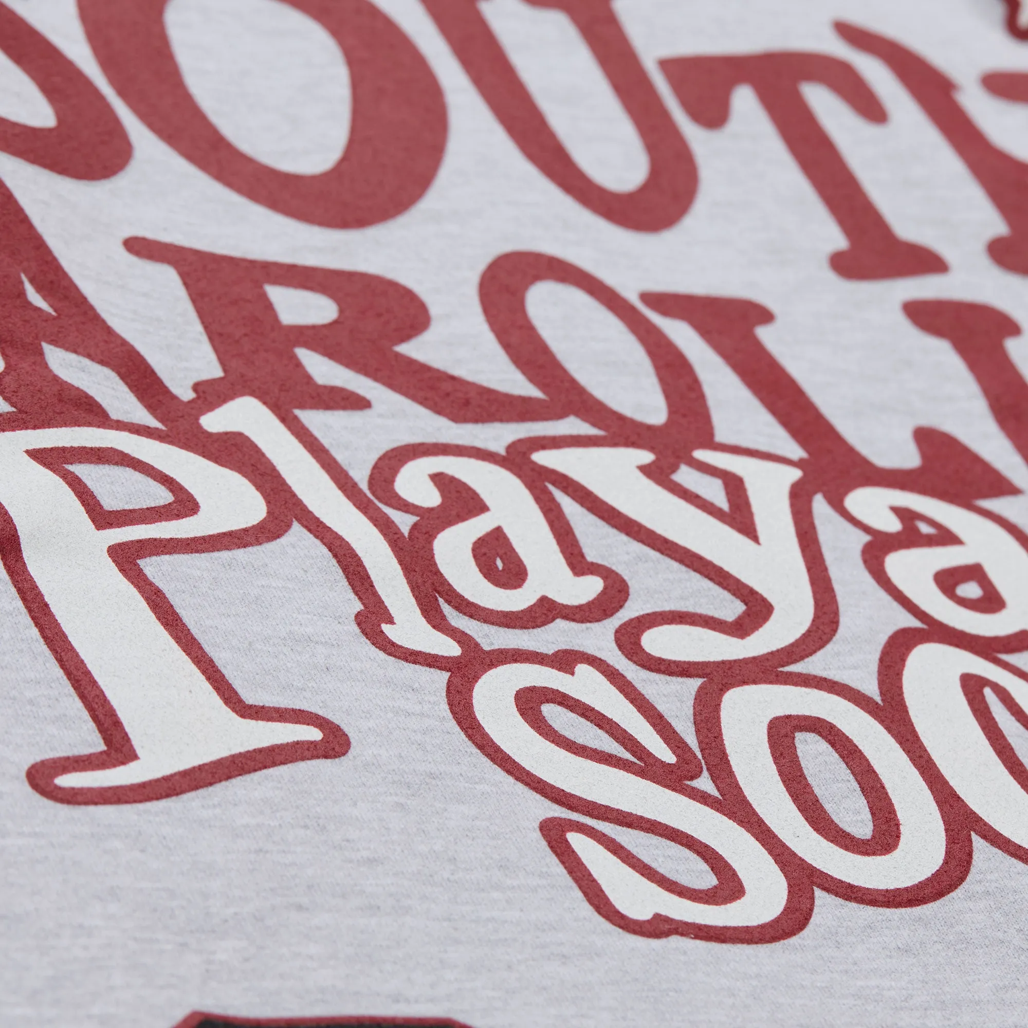 PLAYA SOCIETY X MITCHELL & NESS SOUTH CAROLINA CREWNECK sold by Playa Society product image thumbnail 3