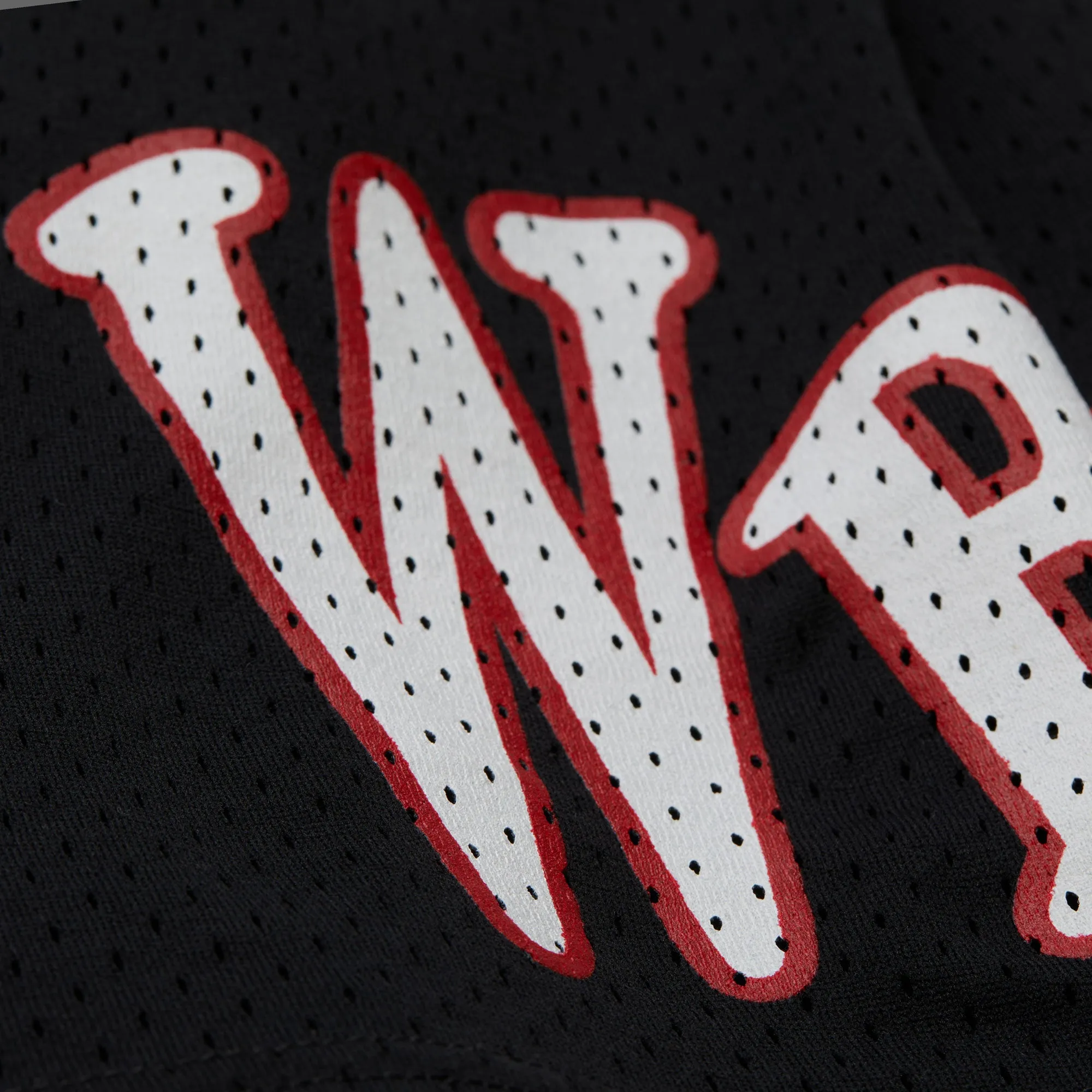 PLAYA SOCIETY X MITCHELL & NESS SOUTH CAROLINA SHORTS sold by Playa Society product image thumbnail 4