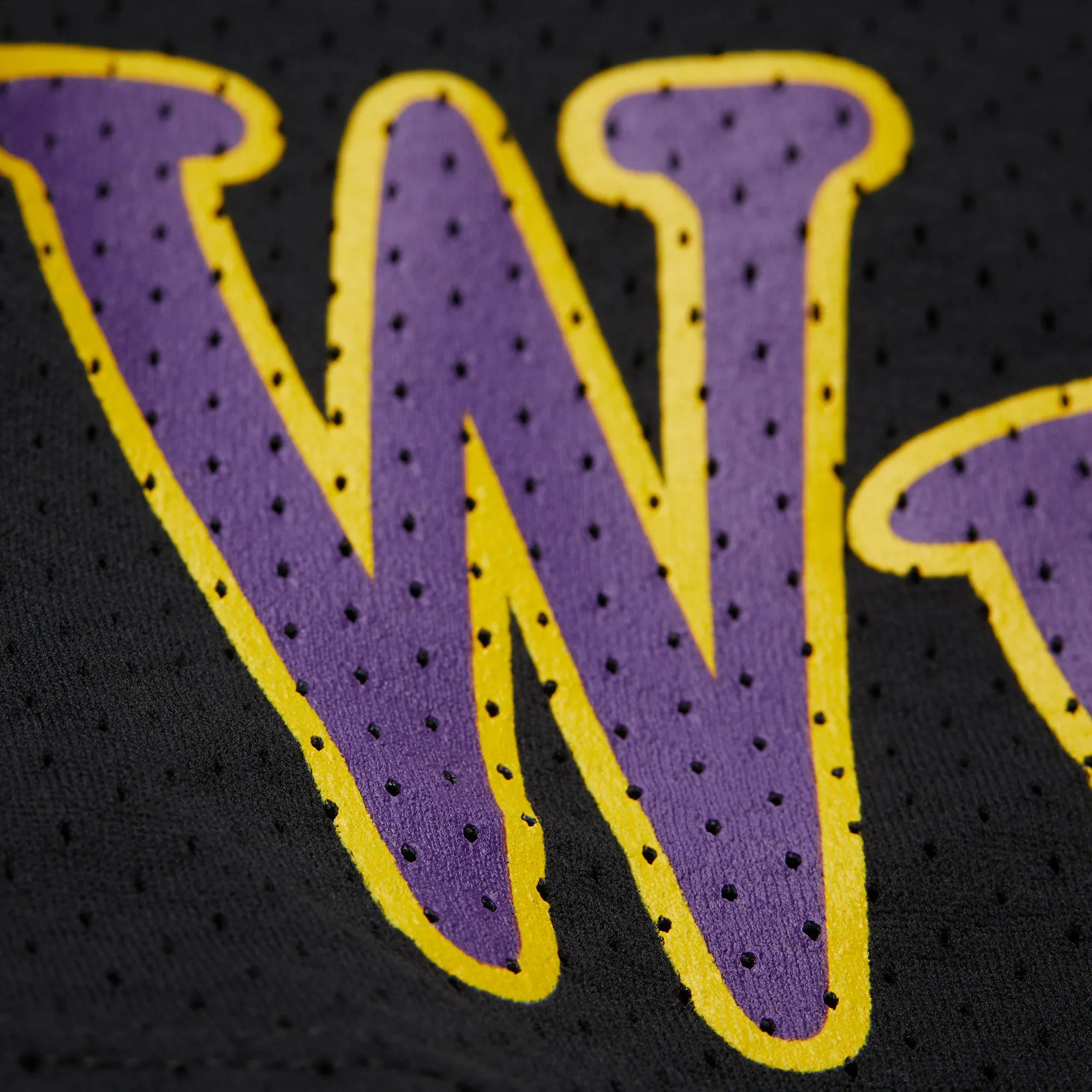 PLAYA SOCIETY X MITCHELL & NESS LSU SHORTS sold by Playa Society product image thumbnail 4