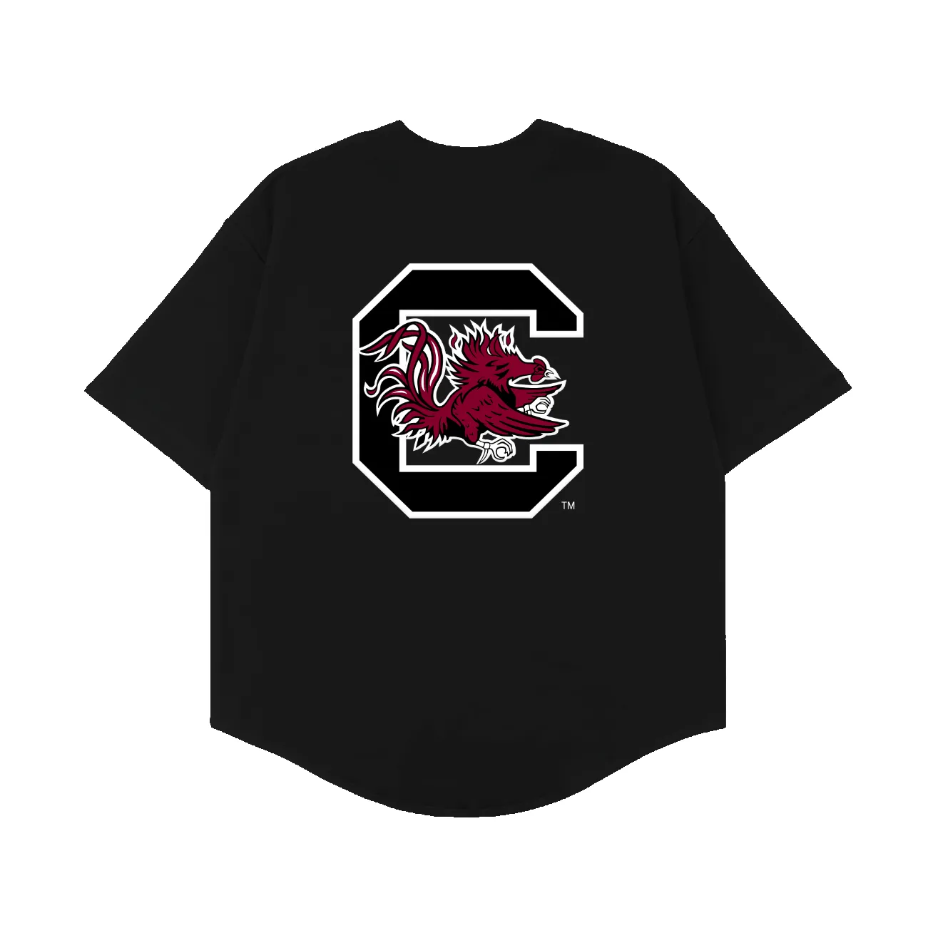 Playa Society X South Carolina 2026 Baseball Jersey sold by Playa Society product image thumbnail 2
