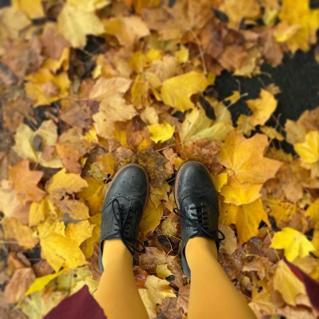 Opaque 80 Den Tights - Colonel Mustard sold by Snag Tights product image thumbnail 3