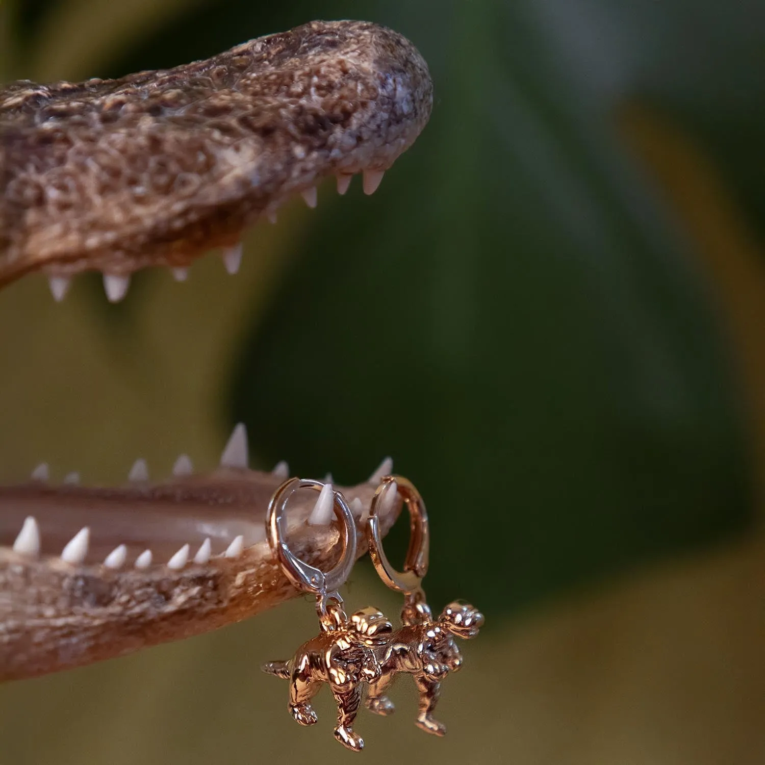 Dinosaur Hoop Earrings - Gold sold by Snag Tights product image thumbnail 5