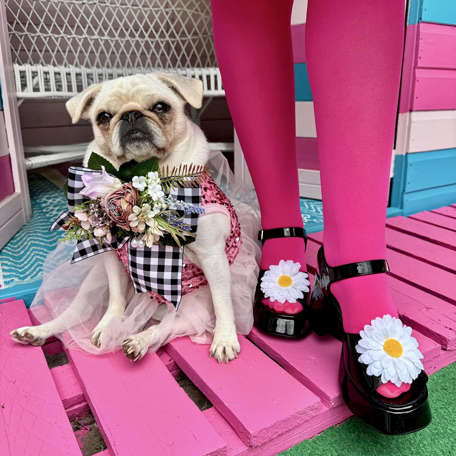 Semi-Opaque 50 Denier Tights - Barbara sold by Snag Tights product image thumbnail 3