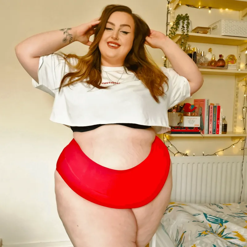 Organic Cotton Full Brief Panties - Lobster sold by Snag Tights