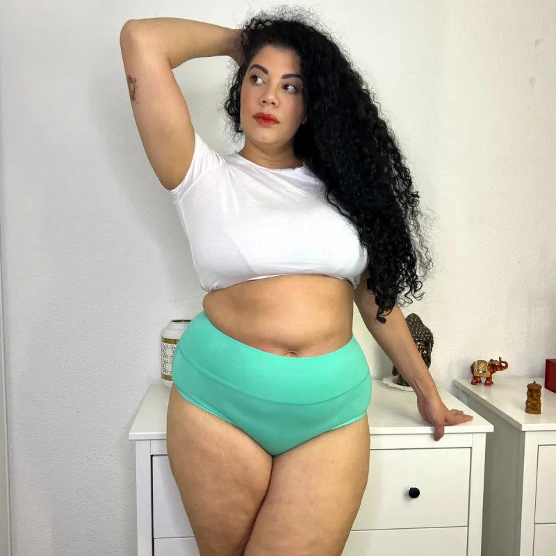 Full Brief Panties - Mint sold by Snag Tights