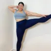 Squat Proof Long Leggings - Navy sold by Snag Tights