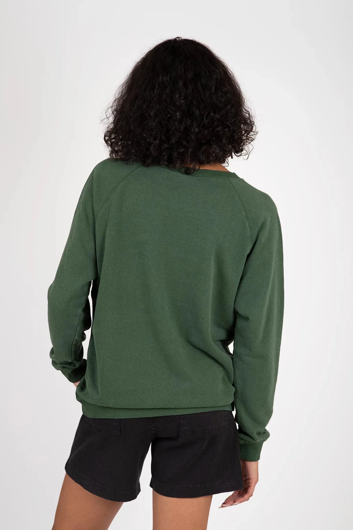 Bonfire Raglan Sweatshirt sold by Hills Dry Goods product image thumbnail 2