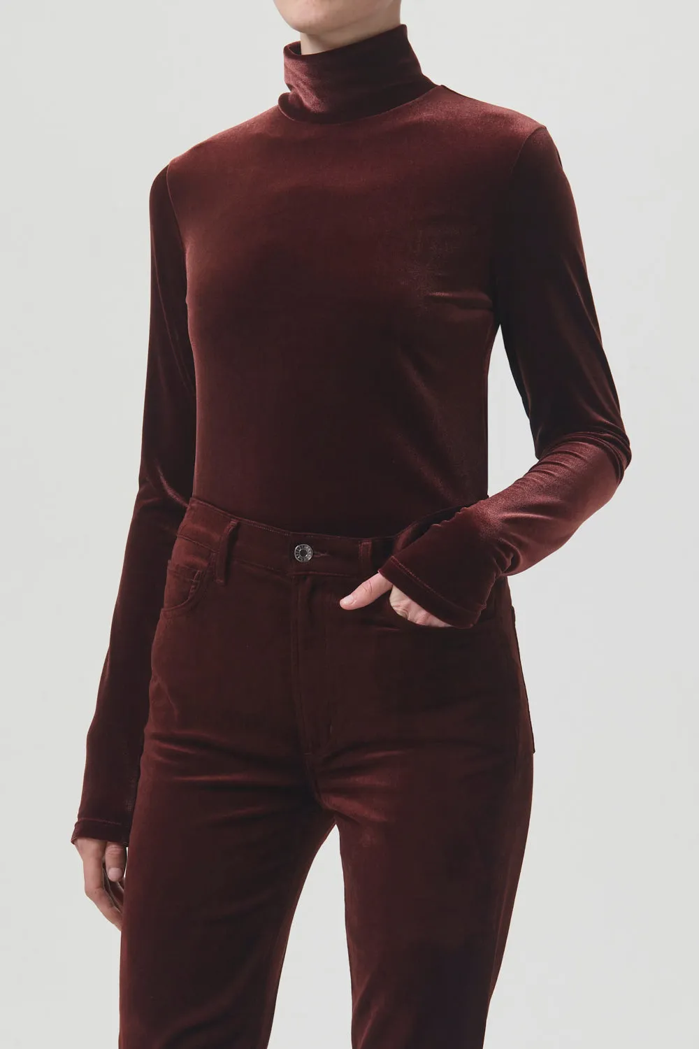 Pascale Velvet Turtleneck sold by Hills Dry Goods