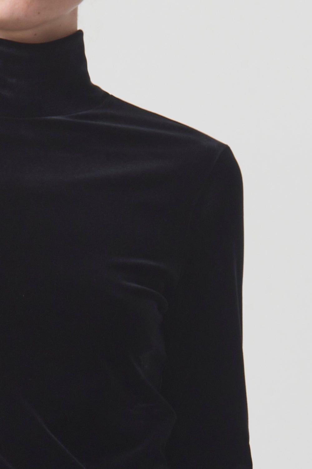 Pascale Velvet Turtleneck sold by Hills Dry Goods product image thumbnail 3