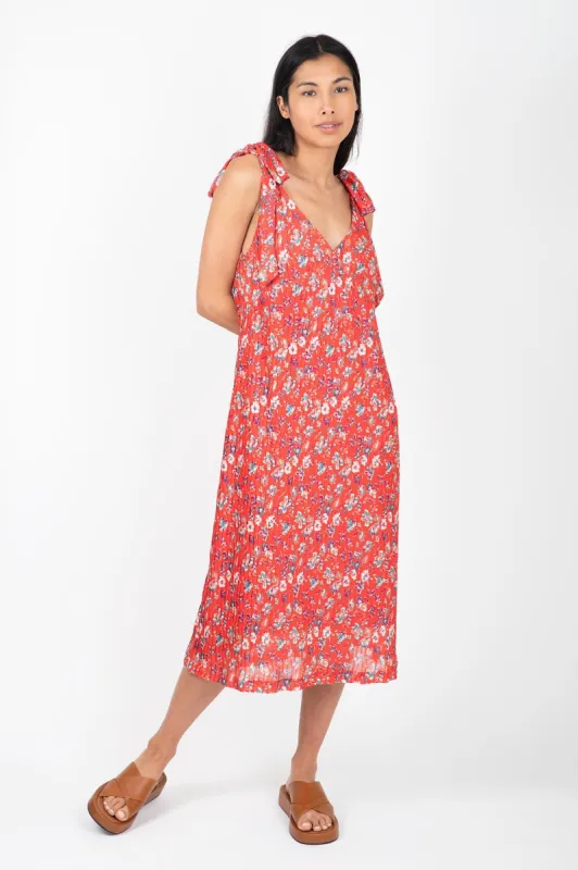 Seine Dress sold by Hills Dry Goods