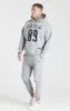Grey Cut And Sew Logo Overhead Hoodie sold by Siksilk