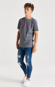 Boys Grey Branded T-Shirt sold by Siksilk