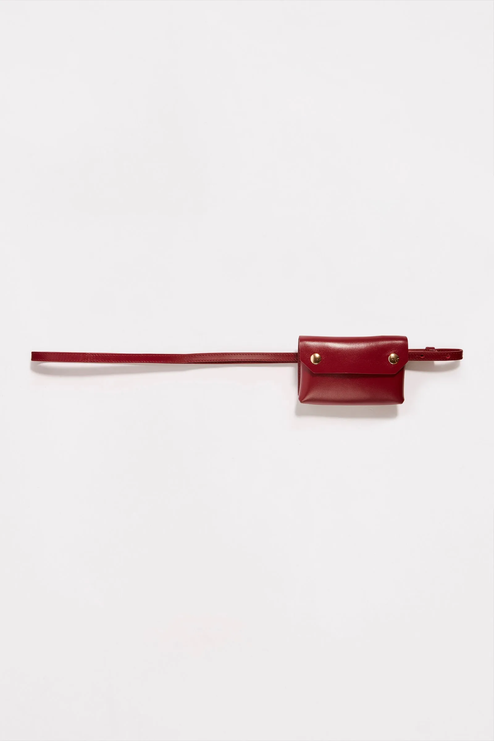 CINTURA ROSS sold by Erika Cavallini