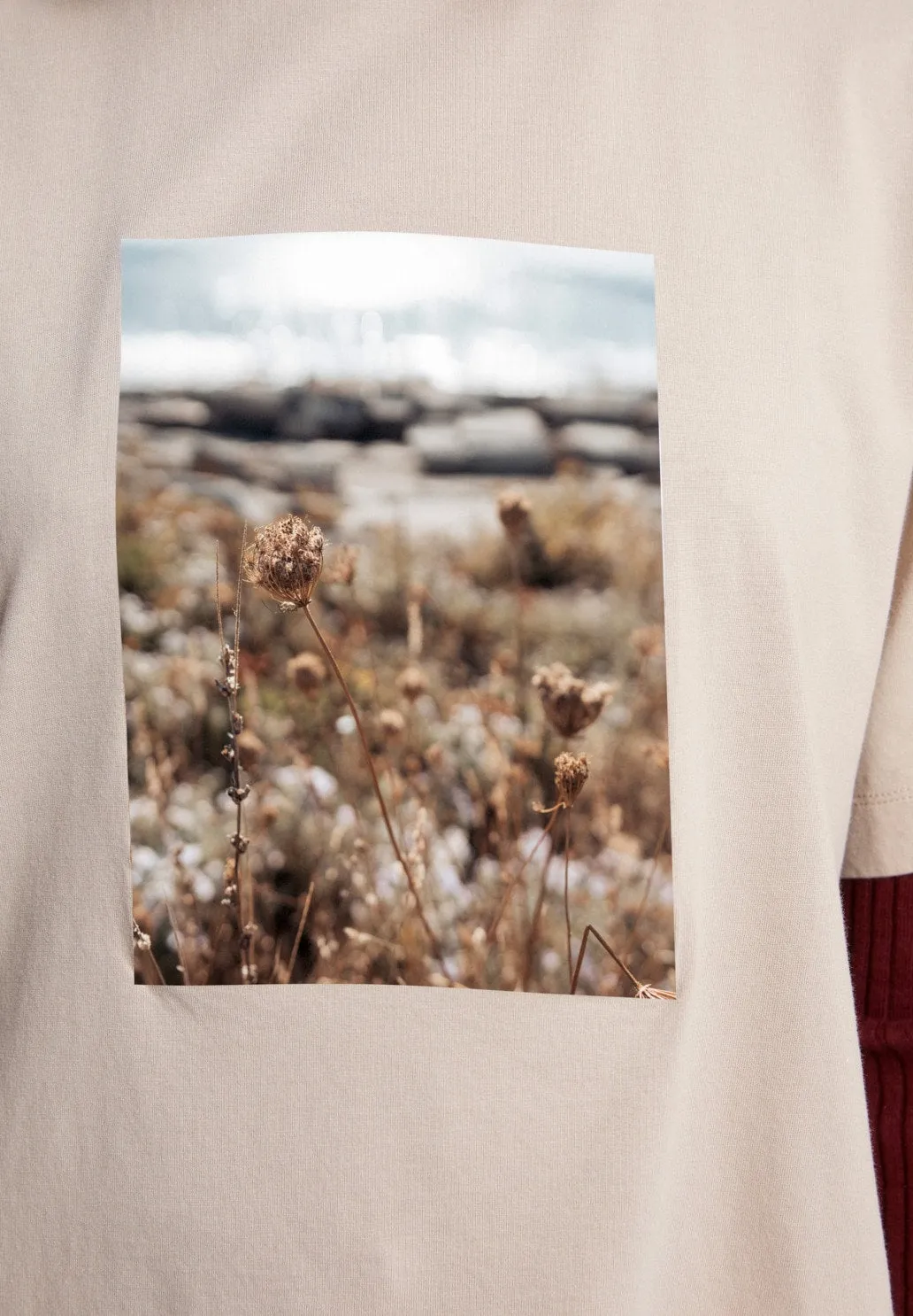 LAYAA Fields Organic Cotton T-shirt sold by Earthkind product image thumbnail 3