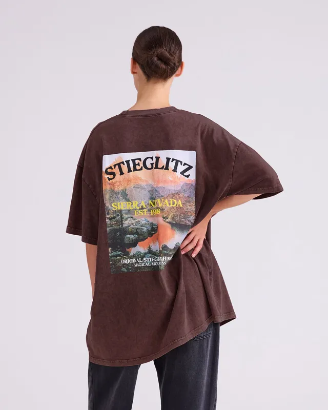 Miquel Oversized T-shirt | Brown made by Stieglitz