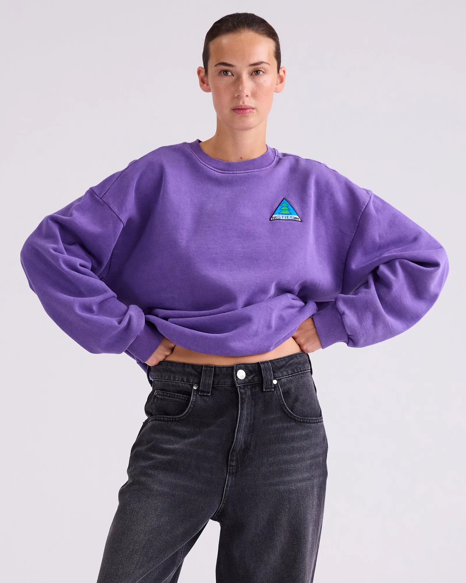 Cisco Sweater | Purple sold by Stieglitz