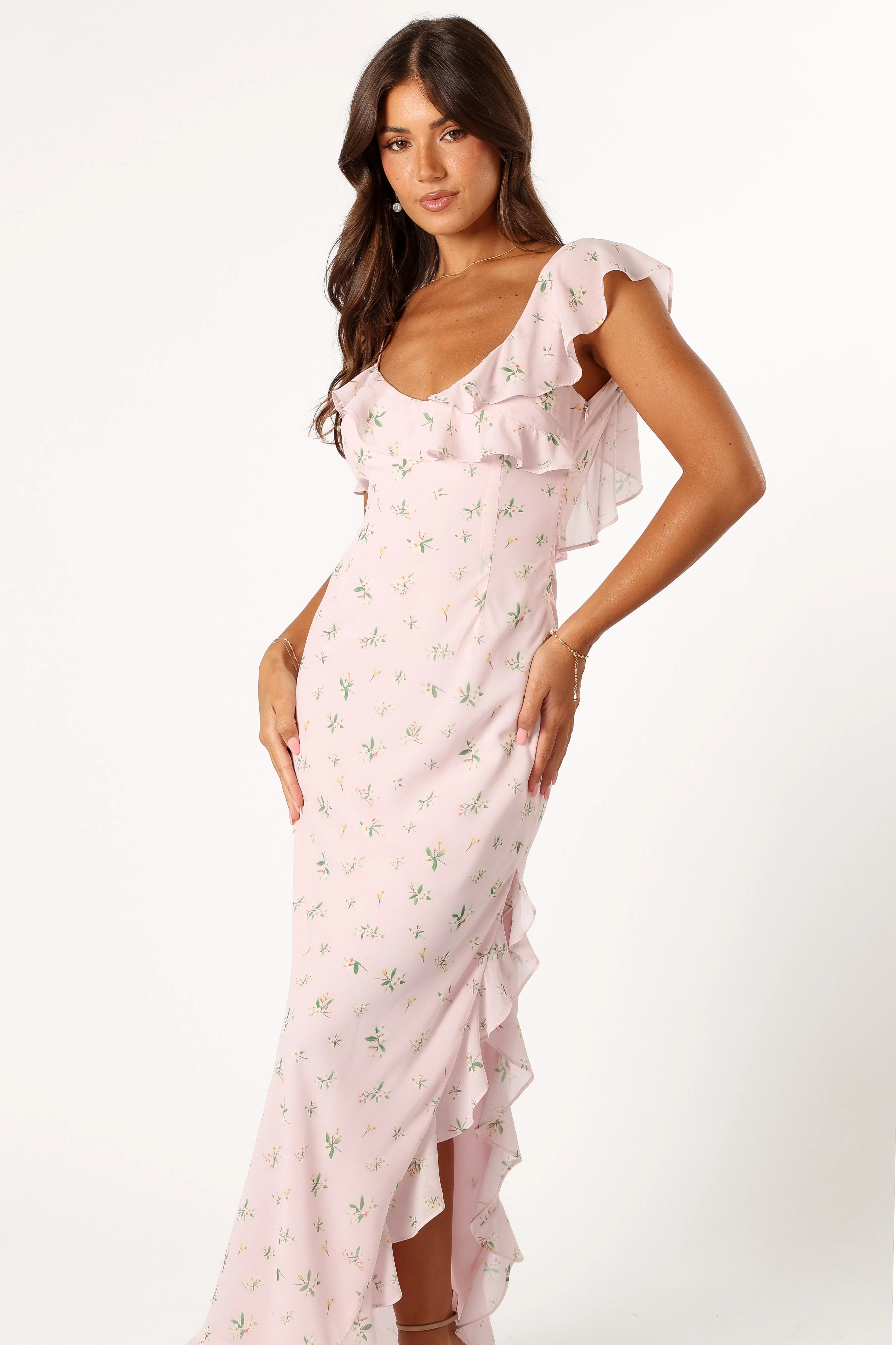 Chloe Maxi Dress - Chloe Print sold by Petal & Pup product image thumbnail 3