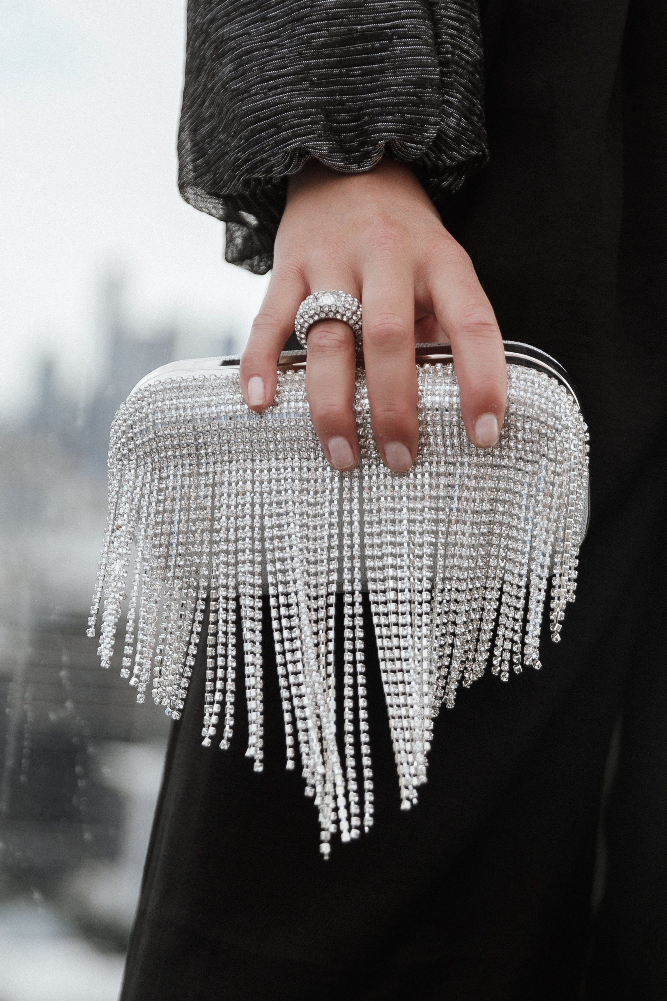 Nadia Embellished Bag - Silver sold by Petal & Pup product image thumbnail 2