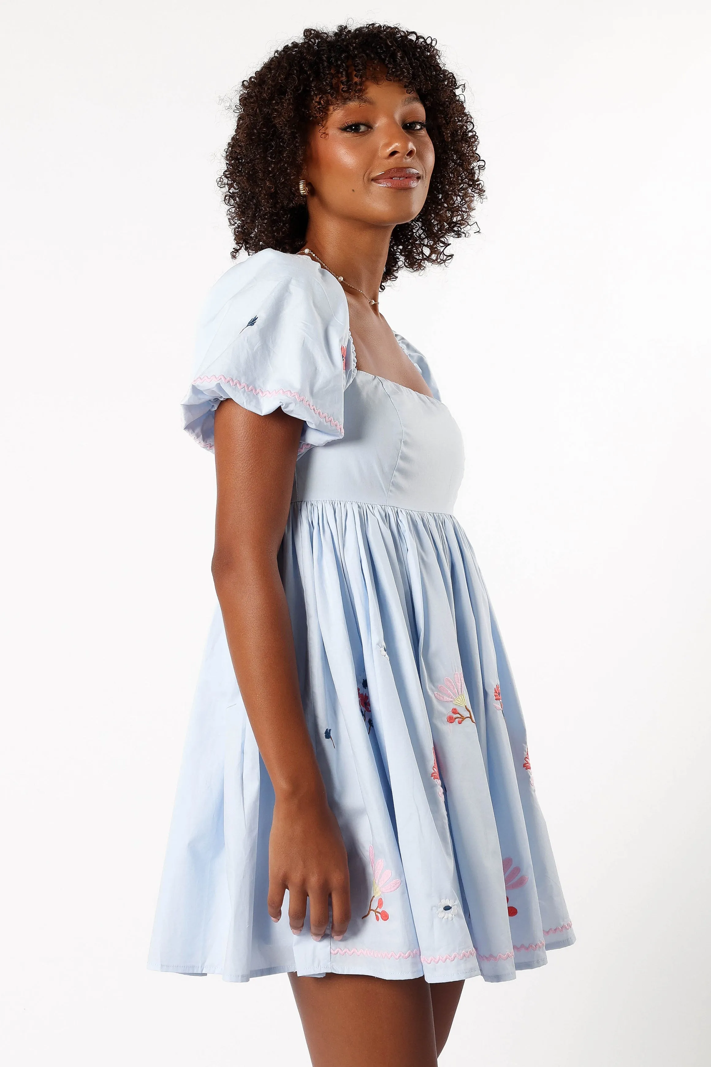 Dianna Mini Dress - Blue sold by Petal & Pup