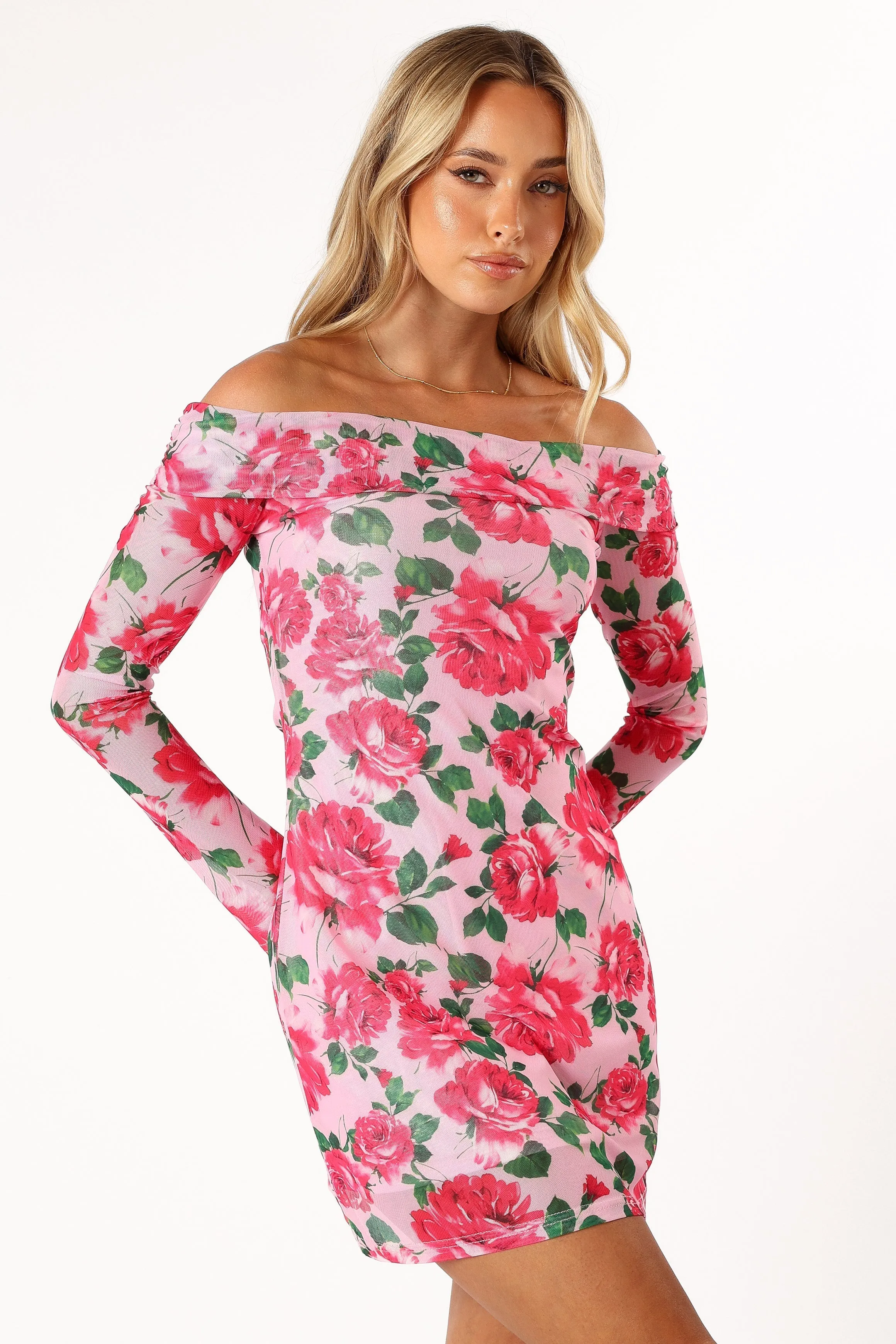 Bisou Off Shoulder Mini Dress - Rose Floral sold by Petal & Pup product image thumbnail 5