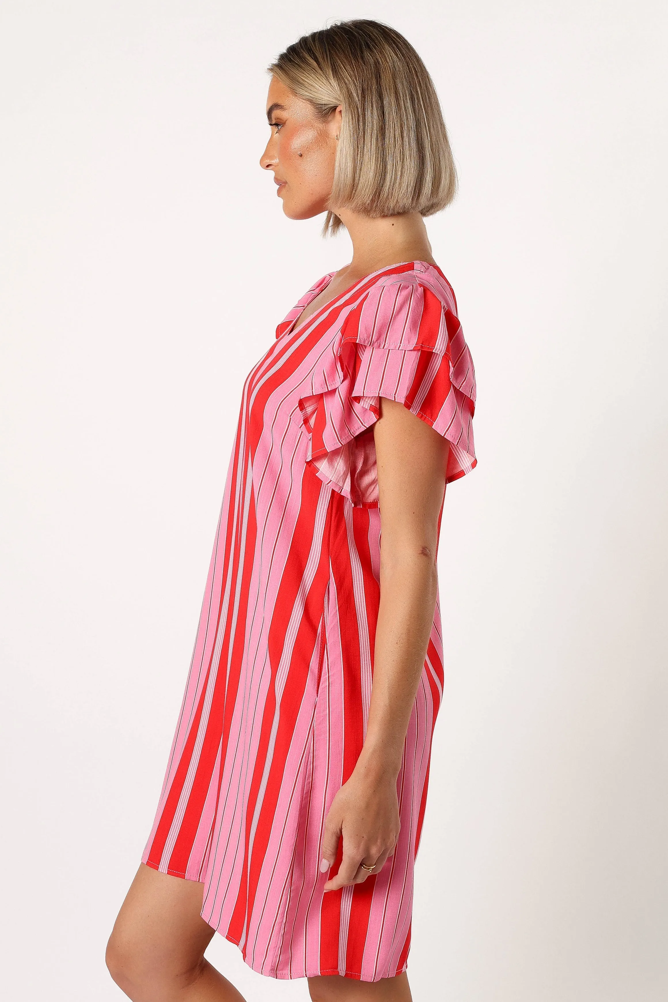 Amara Mini Dress - Pink Stripe sold by Petal & Pup product image thumbnail 3