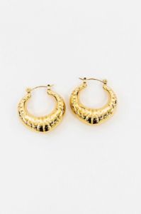 14k Gold Hoop Earrings - Gold sold by Petal & Pup