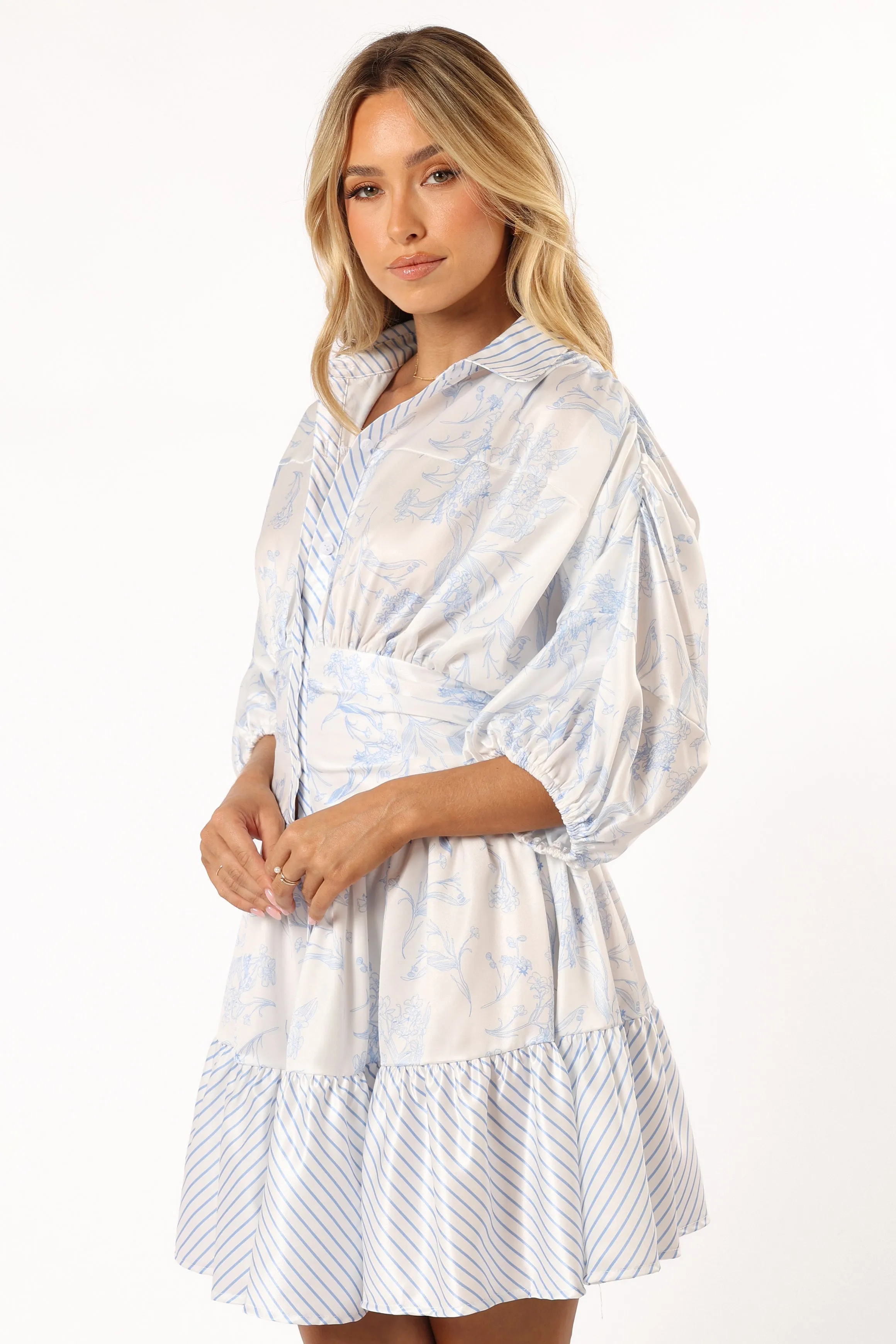 Leigha Mini Dress - Blue sold by Petal & Pup product image thumbnail 4