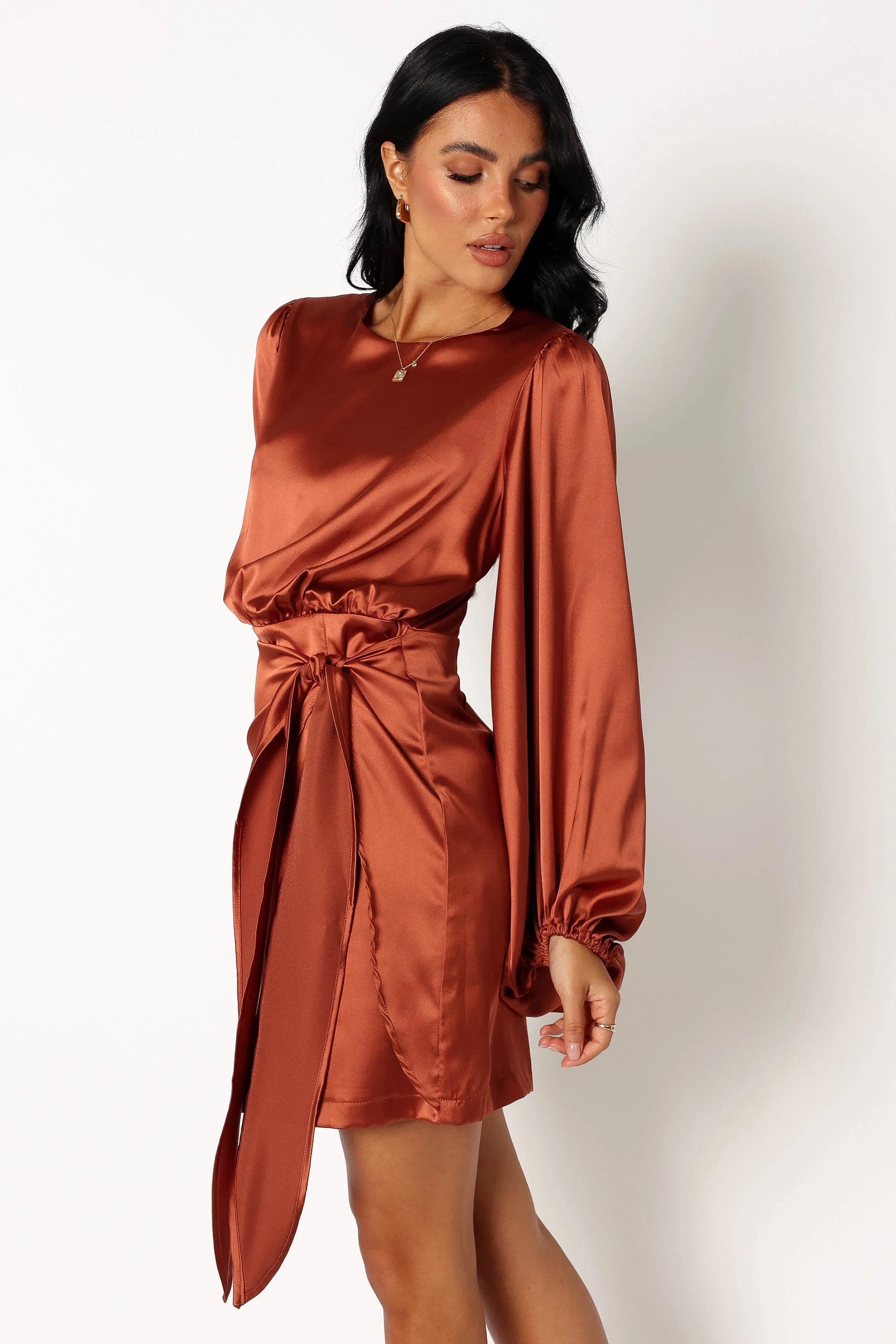 Opal Dress - Rust sold by Petal & Pup product image thumbnail 4