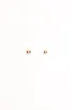 Luisa Stud Earrings - Gold sold by Petal & Pup