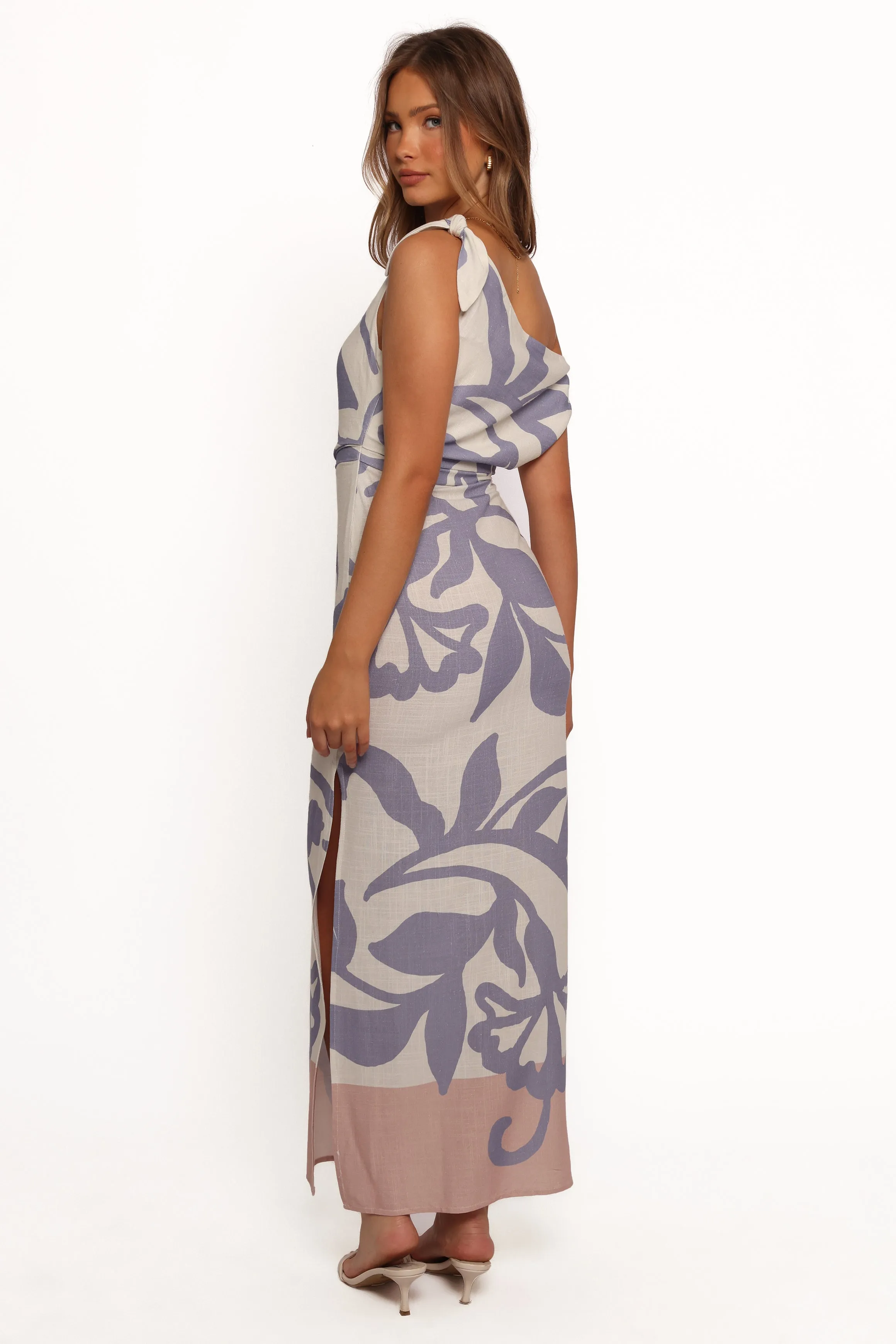 Ally Midi Dress - Sharon sold by Petal & Pup product image thumbnail 4