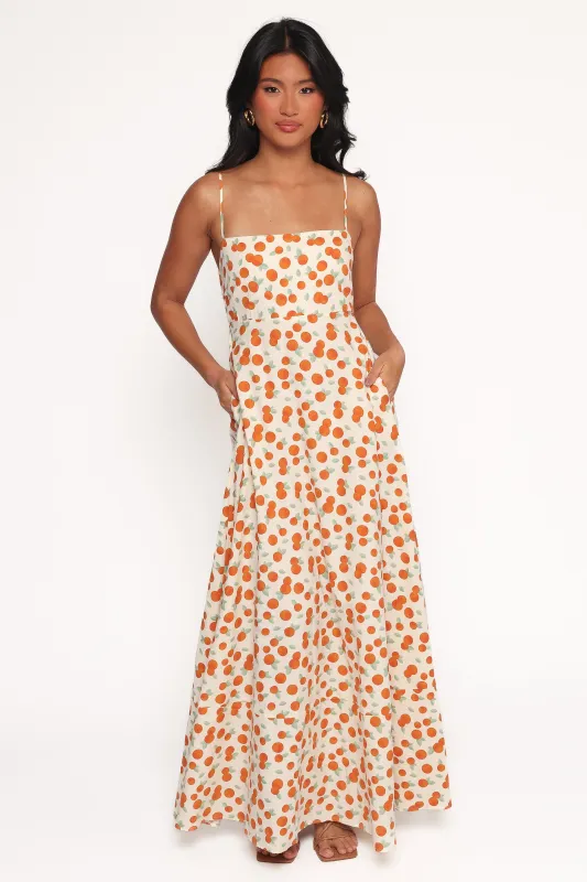 Leah Maxi Dress - Clementine Print sold by Petal & Pup