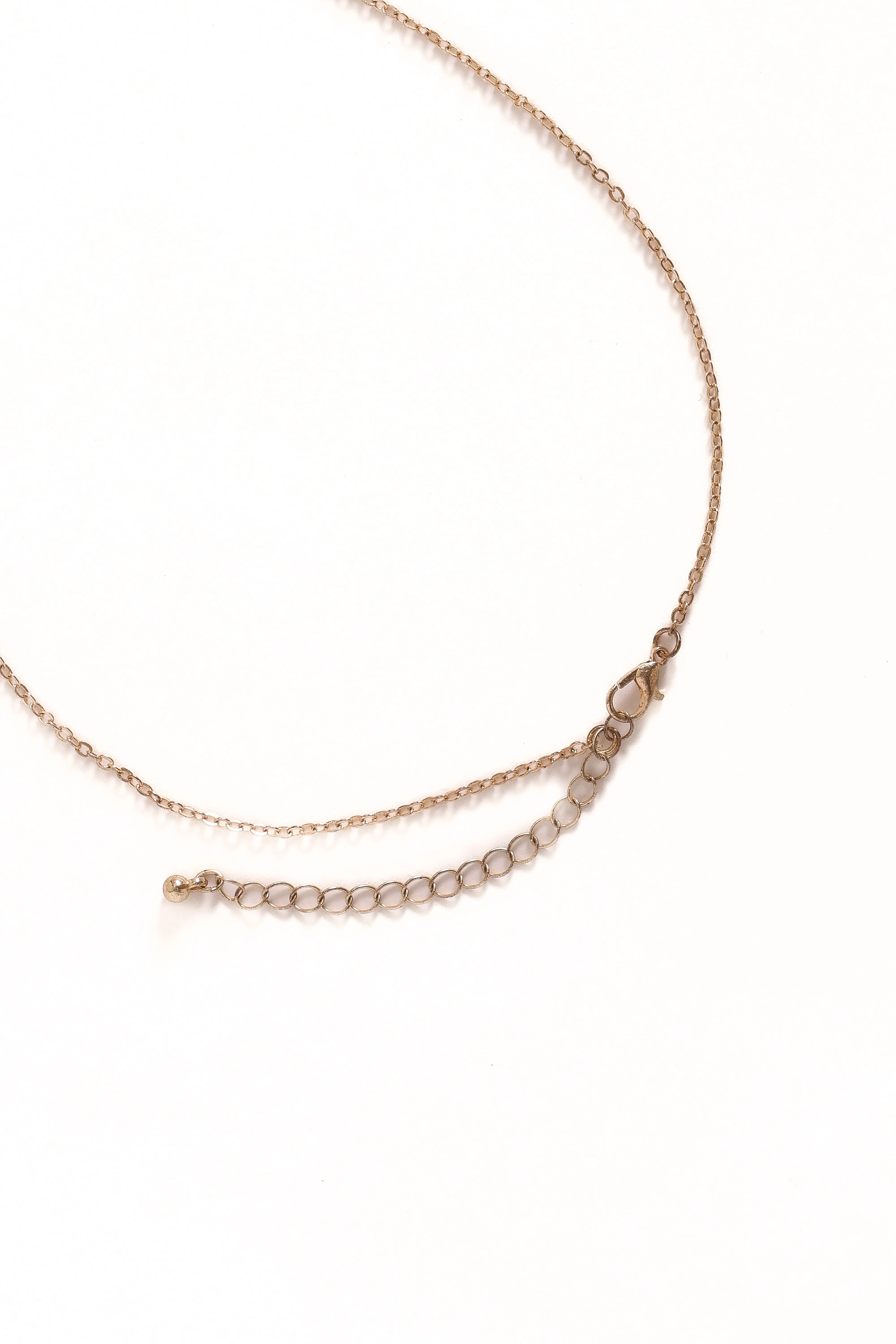 Shell Necklace - Gold sold by Petal & Pup product image thumbnail 4