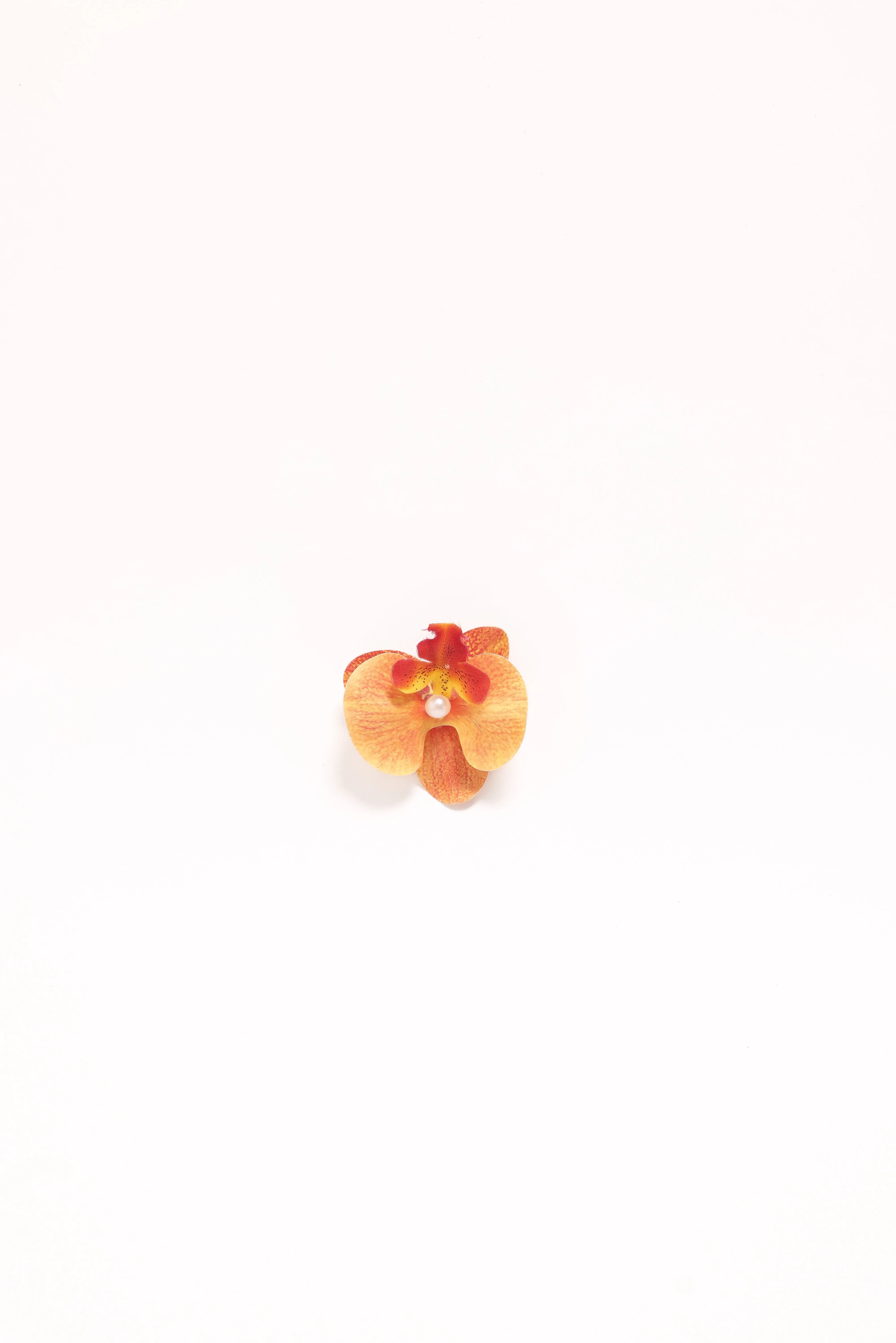 Leila Orchid Hair Clip - Orange sold by Petal & Pup product image thumbnail 3