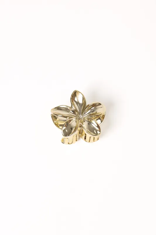 Tiarne Hair Clip - Gold sold by Petal & Pup