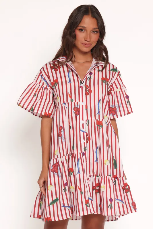 Peachy Mini Dress - Red Picnic Stripe sold by Petal & Pup