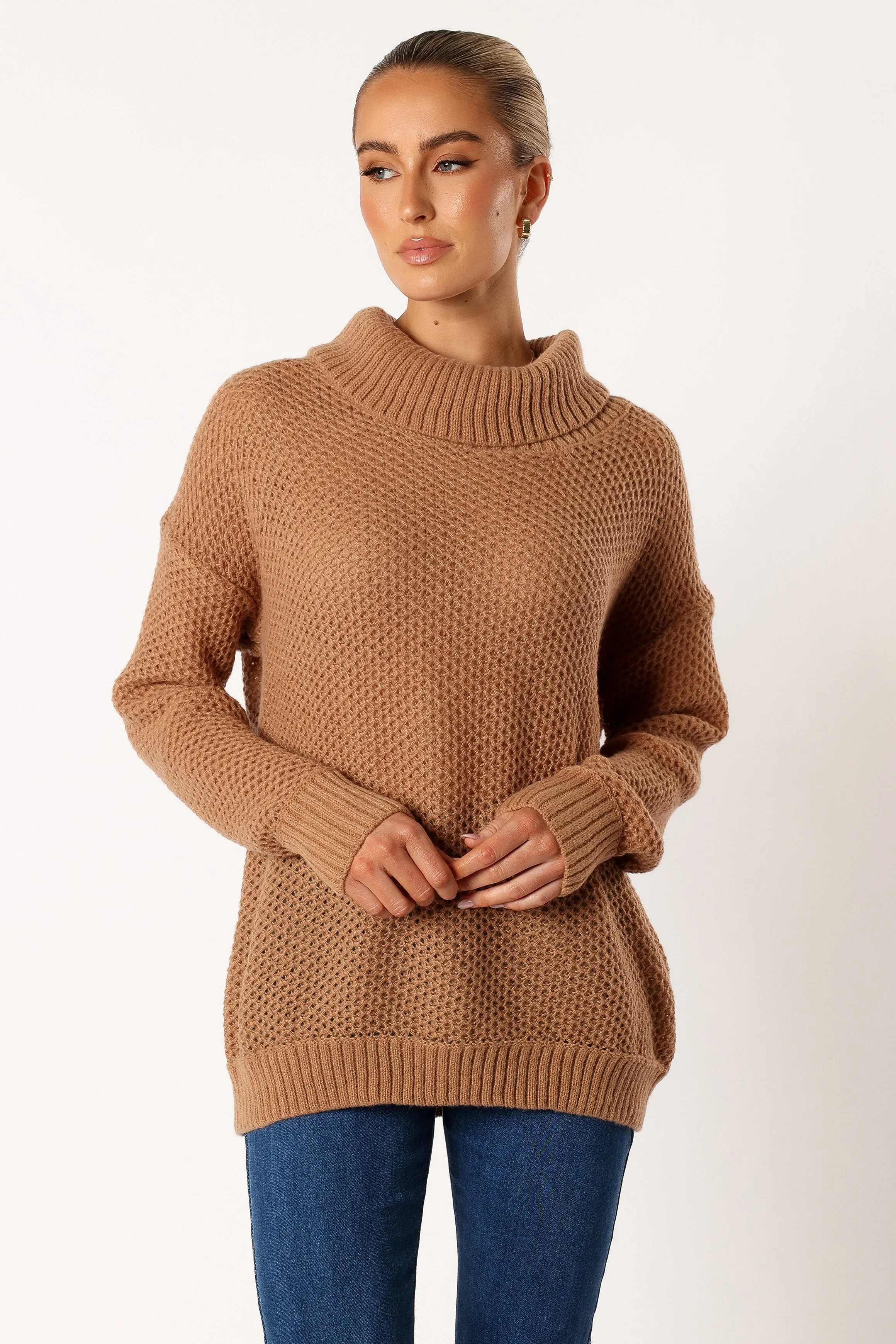 Rayne Turtleneck Knit Sweater - Beige sold by Petal & Pup product image thumbnail 5