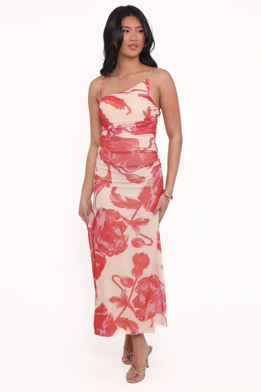Jasmine Maxi Dress - Red Floral sold by Petal & Pup