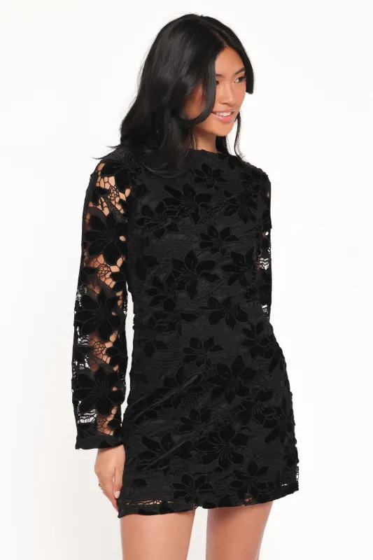 Cynthia Velvet Lace Mini Dress - Black sold by Petal & Pup