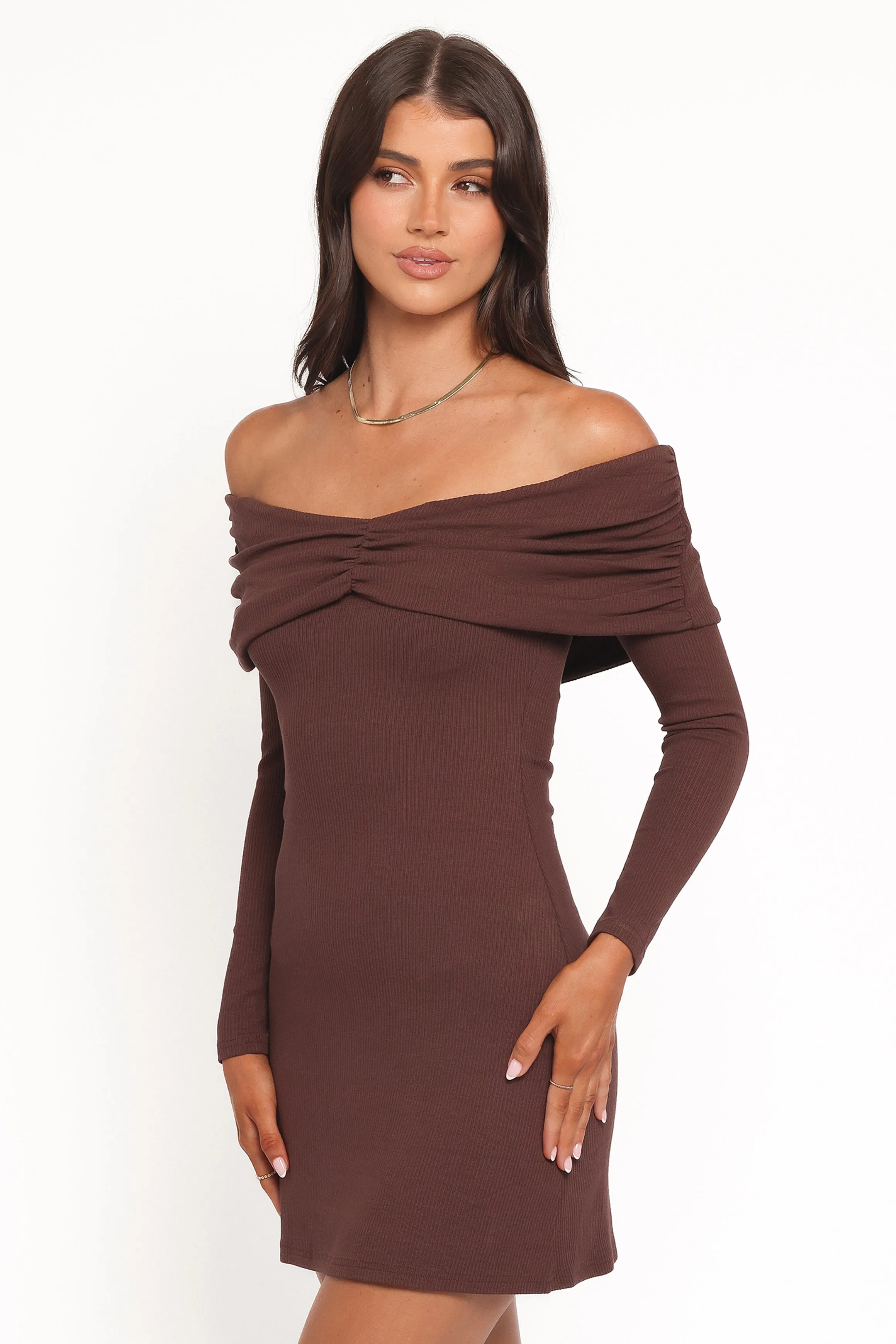 Danica Mini Dress - Chocolate Brown sold by Petal & Pup product image thumbnail 3