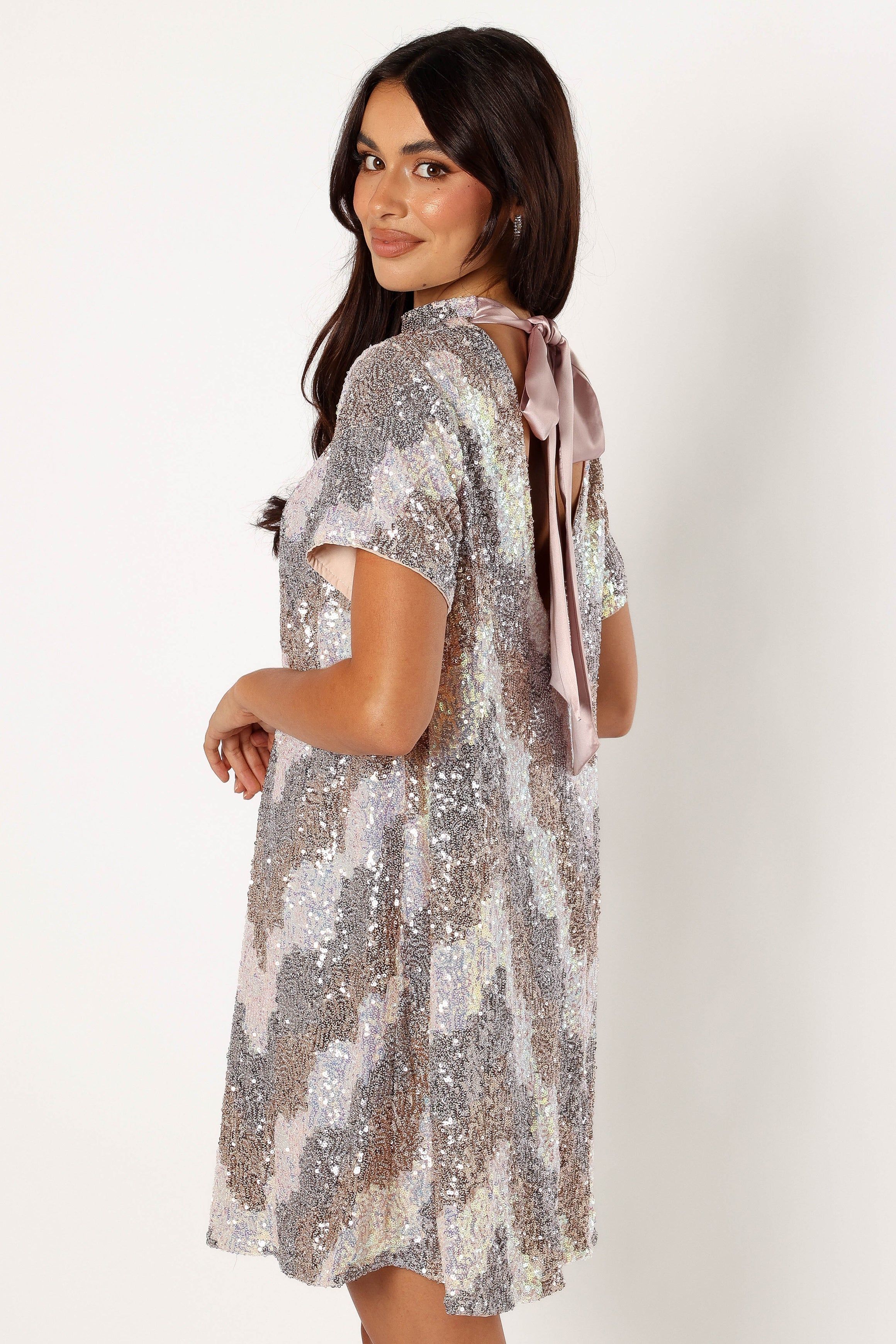 Taylor Mini Dress - Champagne Multi sold by Petal & Pup product image thumbnail 4